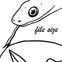 Digital File - Lilies Salmon Star Lily Flower Rough Green Snake Coloring Book Line Art Drawing Download