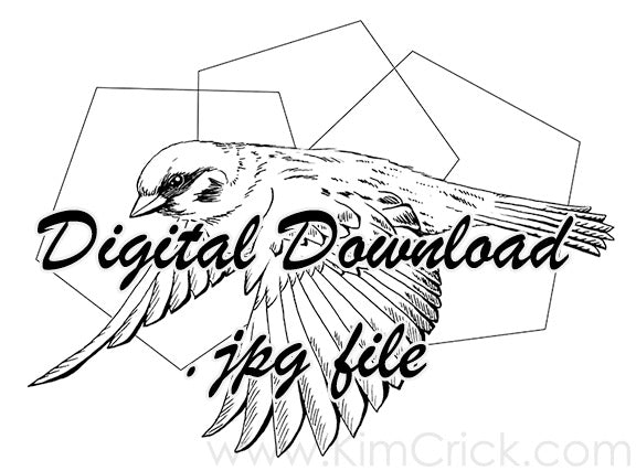 Digital File - Sparrow Flying Bird Animal Art Coloring Book Printable Line Drawing Download