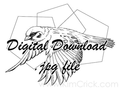 Digital File - Sparrow Flying Bird Animal Art Coloring Book Printable Line Drawing Download