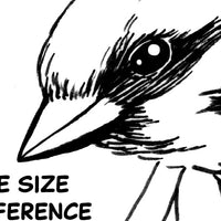Digital File - Sparrow Flying Bird Animal Art Coloring Book Printable Line Drawing Download
