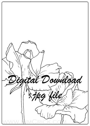 Digital File - Roses Floral Sketch Ink Drawing Art Printable Practice Coloring Book Page Instant Download