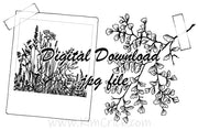 Digital File - Nature Journal Sketchbook Page Layout Polaroid Picture Wildflowers Maidenhair Fern Drawing Instant Download