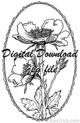  Digital File - Wild Rose Floral Lace Oval Art Drawing Printable Coloring Book Outline Instant Download 