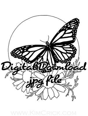 Digital File - Monarch Butterfly Chamomile Herb Daisy Flower Art Line Drawing Coloring Page Download