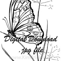 Digital File - Butterfly Line Drawing Ink Art Printable Coloring Book Page Instant Download 