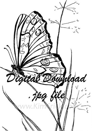  Digital File - Butterfly Line Drawing Ink Art Printable Coloring Book Page Instant Download 