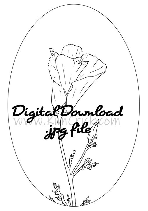Digital File - Poppy Flower Drawing Adult Coloring Book Page Practice Floral Painting Printable Line Art
