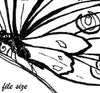  Digital File - Butterfly Line Drawing Ink Art Printable Coloring Book Page Instant Download 