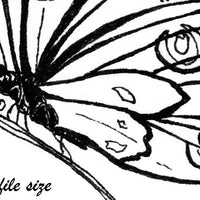  Digital File - Butterfly Line Drawing Ink Art Printable Coloring Book Page Instant Download 