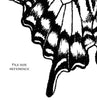 Digital File - Tiger Swallowtail Butterfly Nature Art Ink Line Drawing Digi-Stamp Printable Download