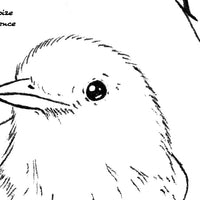 Digital File - Warbler Bird Ink Line Art Animal Drawing Digi Stamp Printable Coloring Practice Download