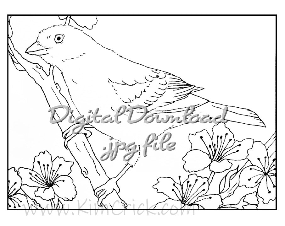 Digital File - Tanager Bird Printable Clip Art Line Ink Drawing Adult Coloring Book Digi Stamp Download