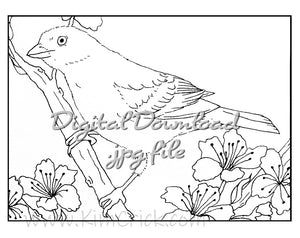 Digital File - Tanager Bird Printable Clip Art Line Ink Drawing Adult Coloring Book Digi Stamp Download