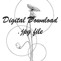 Digital File - Queen Annes Lace Floral Circles Line Art Drawing for Watercolor Salt Bloom and Granulation Practice Painting