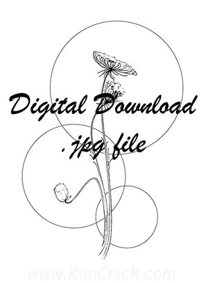 Digital File - Queen Annes Lace Floral Circles Line Art Drawing for Watercolor Salt Bloom and Granulation Practice Painting