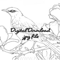 Digital File - Northern Mockingbird Line Art Drawing Printable Download For Practice Painting