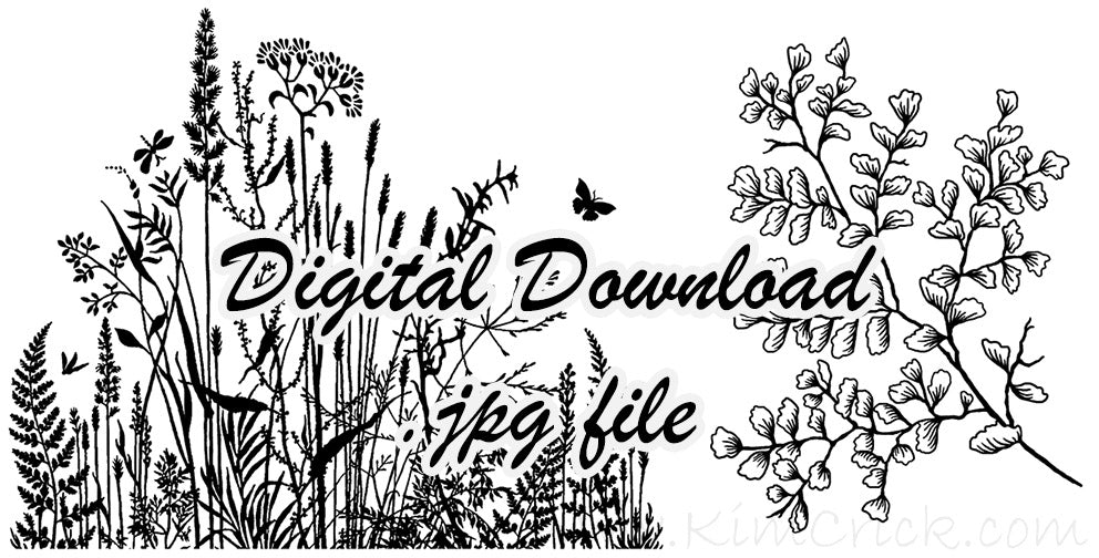  Digital File - Nature Drawing Wildflower Silhouette and Maidenhair Fern Coloring Book Line Art Instant Download 