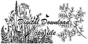  Digital File - Nature Drawing Wildflower Silhouette and Maidenhair Fern Coloring Book Line Art Instant Download 