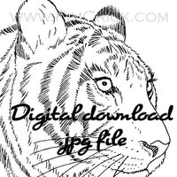 Digital File - Tiger Animal Pen Ink Line Drawing Black White Clip Art Digi Stamp Printable Download