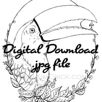  Digital File - Toucan Tropical Bird Printable Clip Art Animal Coloring Book Page Line Drawing