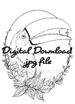  Digital File - Toucan Tropical Bird Printable Clip Art Animal Coloring Book Page Line Drawing