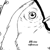  Digital File - Toucan Tropical Bird Printable Clip Art Animal Coloring Book Page Line Drawing
