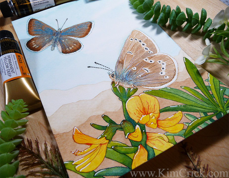 Original Art Watercolor Painting Xerces Blue Butterfly (Not a Print, Supports Xerces Society Conservation)