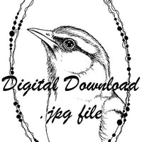  Digital File - Bird Portrait Beaded Oval Ink Drawing Printable Artwork Coloring Book Outline Instant Download 
