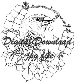 Digital File - Spice Finch Bird Drawing Hydrangea Flowers Coloring Book Printable Line Art Download