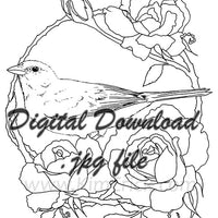  Digital File - Blue Finch Bird Drawing Vintage Roses Flower Coloring Book Printable Line Art Download 