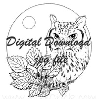  Digital File - Owl Branches Moon Night Scene Clip Art Bird High Res Scan Ink Drawing Printable Coloring Page Download 