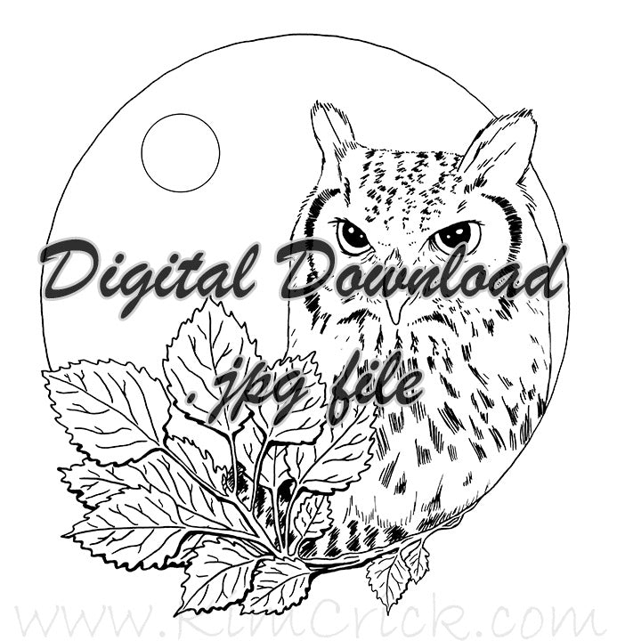  Digital File - Owl Branches Moon Night Scene Clip Art Bird High Res Scan Ink Drawing Printable Coloring Page Download 
