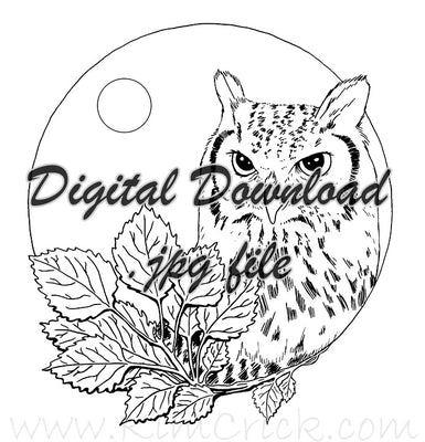  Digital File - Owl Branches Moon Night Scene Clip Art Bird High Res Scan Ink Drawing Printable Coloring Page Download 