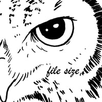  Digital File - Owl Branches Moon Night Scene Clip Art Bird High Res Scan Ink Drawing Printable Coloring Page Download 