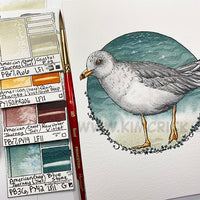 Original Art - Sea Gull Shore Bird Ocean American Journey Watercolor Painting (5x7, Not a Print)