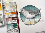 Original Art - Sea Gull Shore Bird Ocean American Journey Watercolor Painting (5x7, Not a Print)