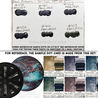 Paul Rubens Watercolor Dot Card - SHI YUN New 2021 Six Colors Precipitated Layered PBk11 Granulation Mixture Samples