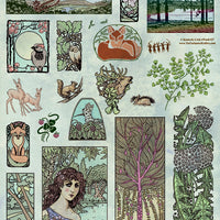 Unmounted Rubber Stamp Set Woodland Forest #Wood-127
